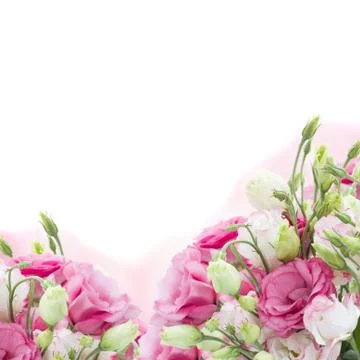 Bunch of  pink eustoma flowers Foto stock
