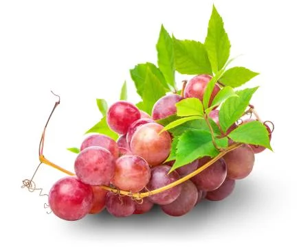 Bunch of pink grape Stock Photos