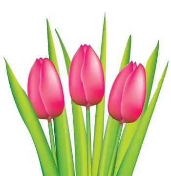 Bunch of pink tulips Stock Illustration