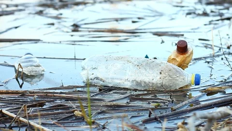 Bunch of plastic bottles float on the surface of the river Stock Footage 127373436