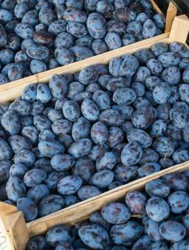 Bunch of plums Stock Photos