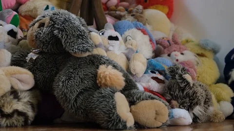A bunch of plush rabbits sit on floor Video stock 114012388