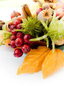 Bunch of potpourri elements Stock Photos