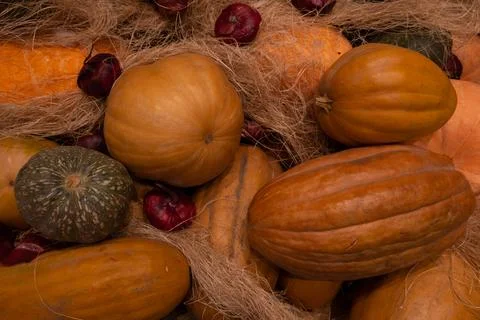 Bunch of pumpkin, background, close-up Stock Photos