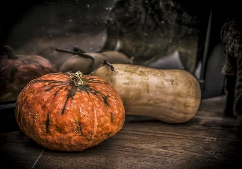 A bunch of pumpkins Stock Photos