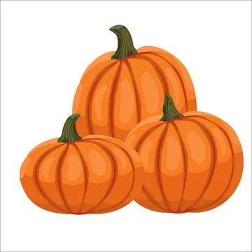A bunch of pumpkins. Vector clipart isolated on white background Stock Illustration
