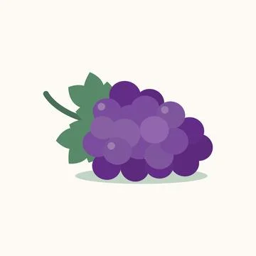 Bunch of purple grapes. Stock Illustration
