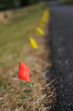 A bunch of racing flags stuck in the ground Stock Photos