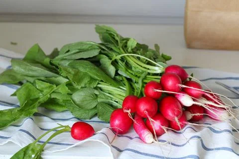 Bunch of radishes on the kitchen table. Stock Photos