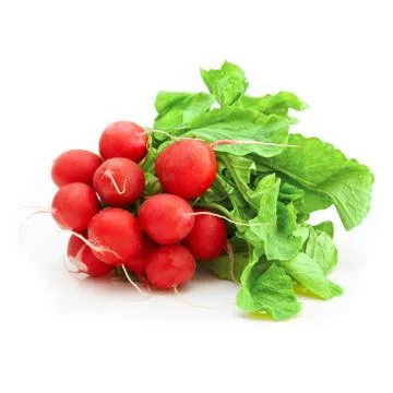 Bunch of radishes Stock Photos