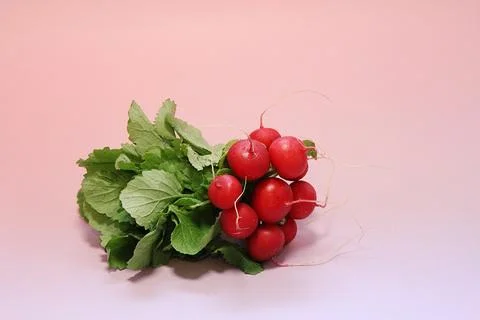 Bunch of radishes Stock Photos