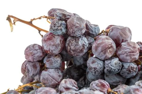 Bunch of raisins 스톡 사진
