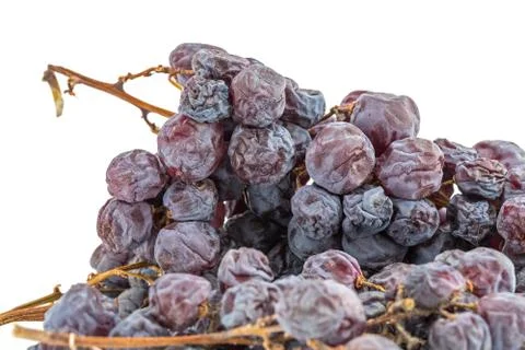 Bunch of raisins Photos