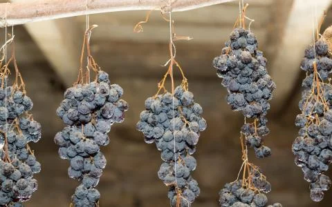 Bunch of raisins Foto stock