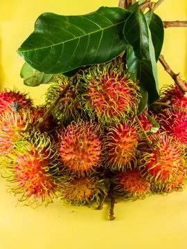 A bunch of rambutan fruit Stock Photos
