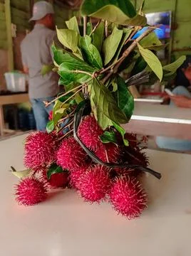 A bunch of rambutan fruit Stock Photos