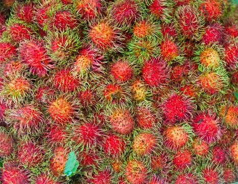 Bunch of rambutans Stock Photos