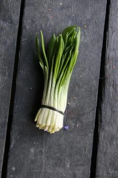 Bunch of ramsons leaves Stock Photos