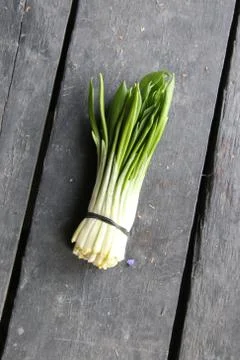 Bunch of ramsons leaves Stock Photos