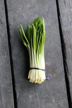 Bunch of ramsons leaves Stock Photos