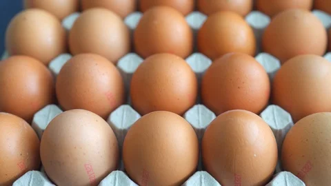 Bunch of raw chicken eggs in carton box Stock Footage 127431756