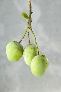 Bunch of Raw mango or Green mango Stock Photos