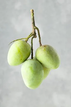 Bunch of Raw mango or Green mango Foto stock