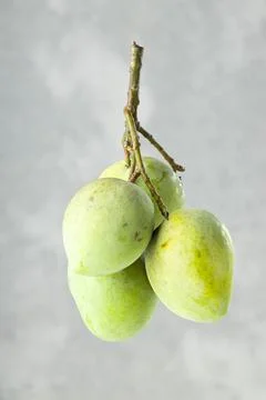 Bunch of Raw mango or Green mango Stock Photos