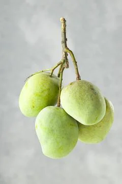 Bunch of Raw mango or Green mango Stock Photos