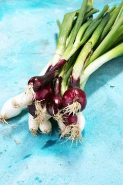Bunch of red and white spring onions Stock Photos