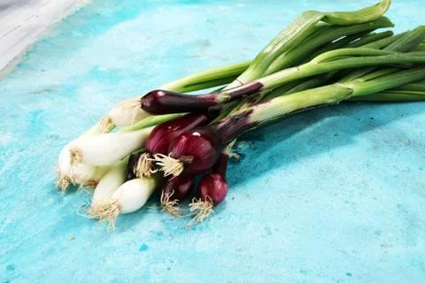 Bunch of red and white spring onions Stock Photos
