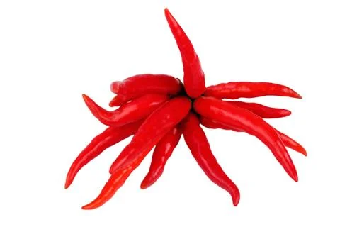 Bunch of red chilli peppers Stockfoto's
