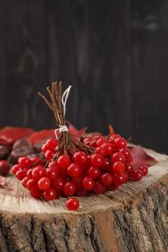 A bunch of red common mountain ash on a wooden table Stock Photos