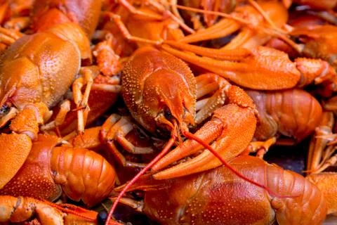 Bunch of red cooked crayfish 스톡 사진
