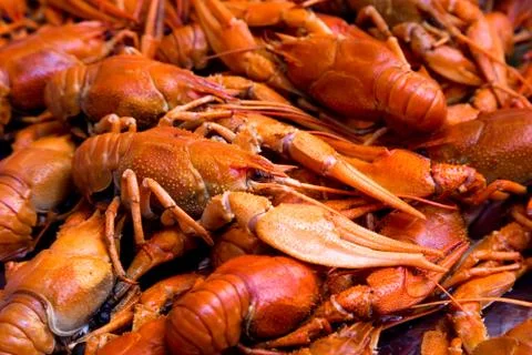 Bunch of red cooked crayfish Stock Photos