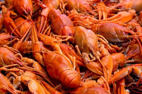 Bunch of red cooked crayfish Stock Photos