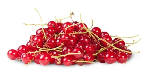 Bunch of red currant Stock Photos