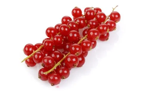 Bunch of Red Currant Stock Photos