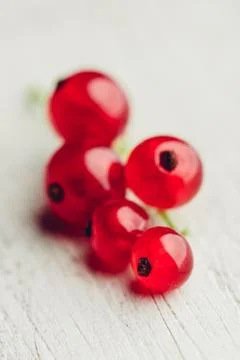 Bunch of red currant Stock Photos