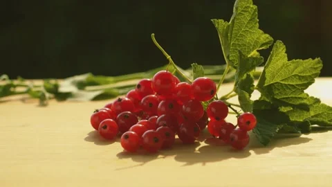 Bunch of red currant on the table Stock Footage 135826545