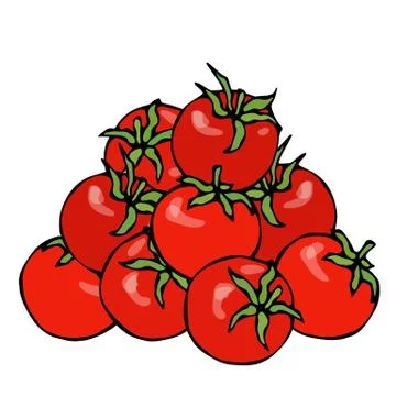 A Bunch of Red Fresh Ripe Cherry Tomatoes. Isolated On a White Background Stock Illustration