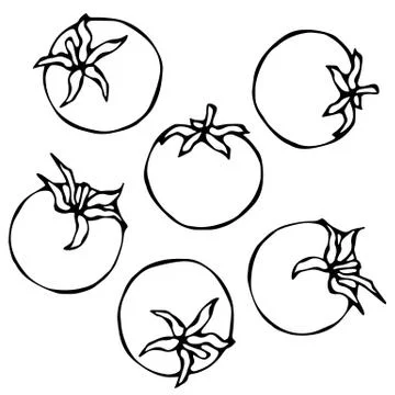 A Bunch of Red Fresh Ripe Tomatoes. Isolated On a White Background. Realistic Stock Illustration