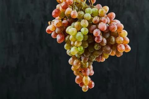 A bunch of red grapes on dark background Stock Photos