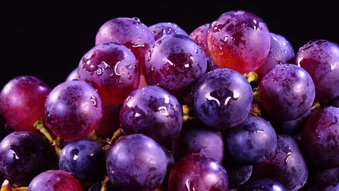 Bunch of red grapes with drops of water rotates against black background in 4K Vídeos de archivo 78069417