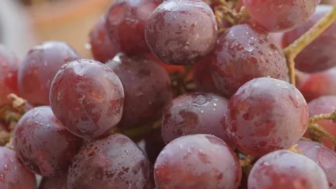 A bunch of red grapes. Stock Footage 108539762