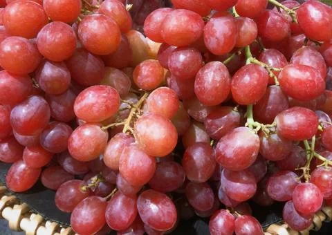 Bunch of Red Grapes Foto stock