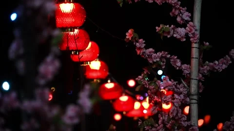 A bunch of red lanterns hanging from a tree Stock Footage 325823860