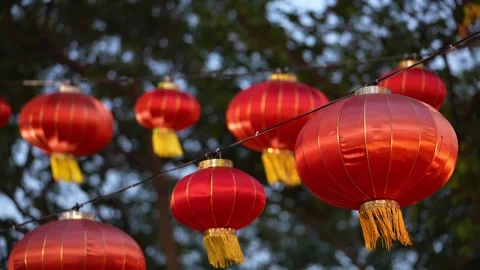 Bunch of red lanterns hanging from a tree Видео 327804211