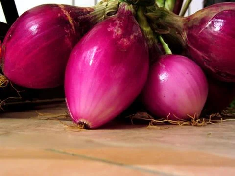Bunch of red onion Stock Photos