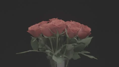 Bunch of red roses on black background Video stock 163947433